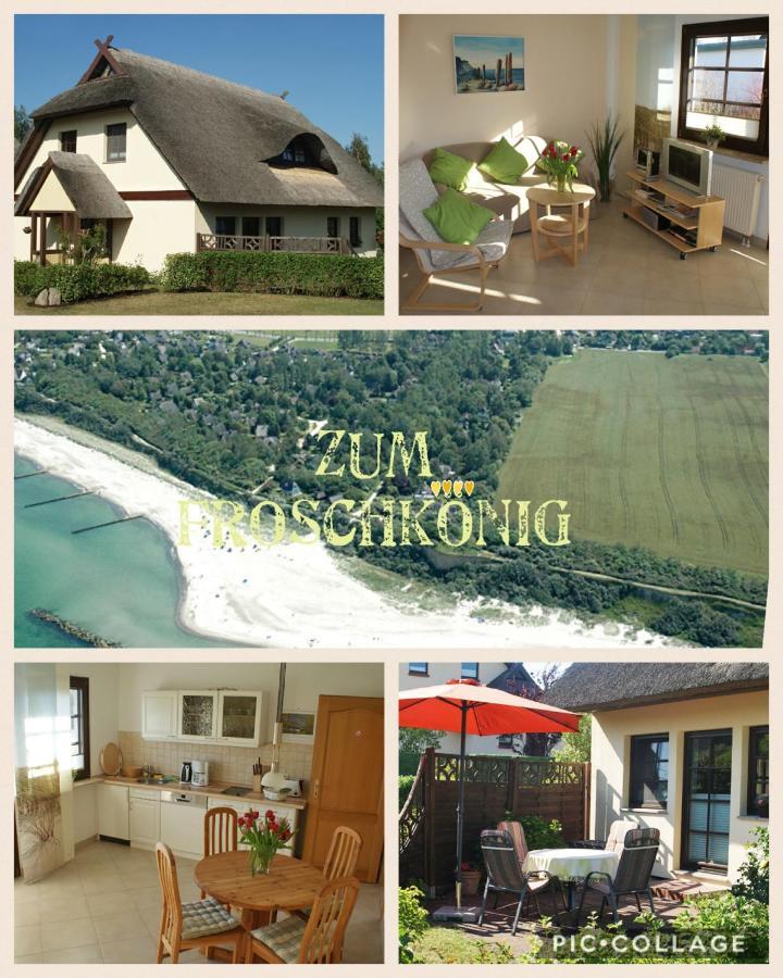 Zum Froschkoenig Apartment Ahrenshoop Exterior foto